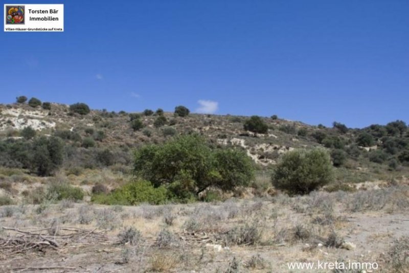 Neo Kalamaki Kreta, Kalamaki Baugrundstück 6.000m² purer kretischer Zauber. Grundstück kaufen